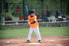 2019 Minibaseball